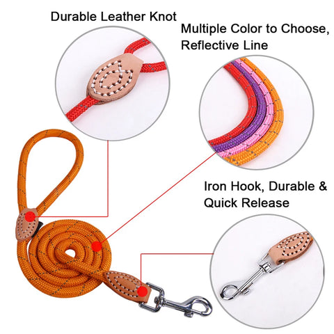 Pet Products Dog Leash Nylon Reflective Puppy Dog Leash Rope Cat Chihuahua Pet Leash and Collar Set Cat Dog Leashes Lead Harness